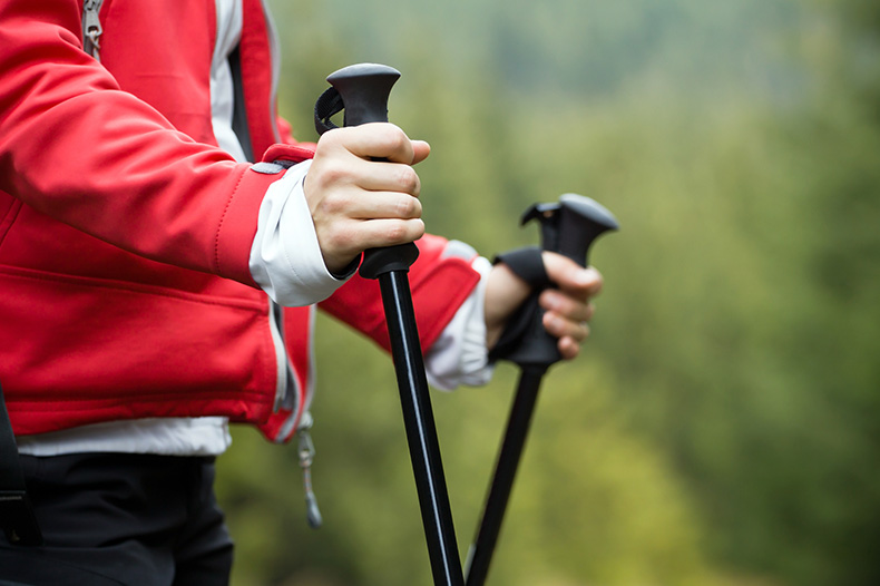 Палки для скандинавской ходьбы Nordic Walking Pole