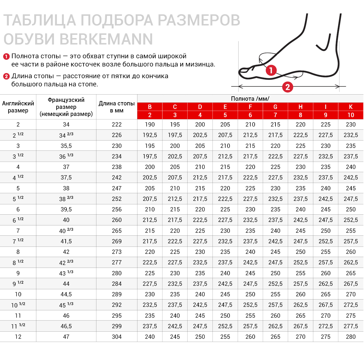 Зонт Терволина Интернет Магазин