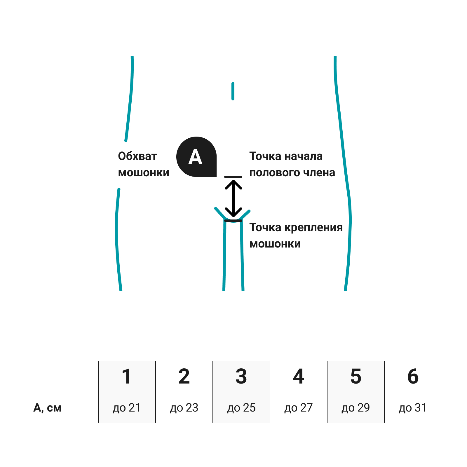 Бандаж грыжевой паховый КРЕЙТ Б-461 - купить в интернет-магазине Ортека по  выгодной цене